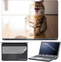 Skin Yard Very Happy Cat Photography Laptop Skin with Screen Protector & Keyboard Skin -15.6 Inch Combo Set   Laptop Accessories  (Skin Yard)