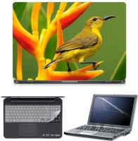 Skin Yard Beautiful SunBird Laptop Skin with Screen Protector & Keyboard Skin -15.6 Inch Combo Set   Laptop Accessories  (Skin Yard)