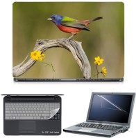 Skin Yard Cute Colorful Bird Laptop Skin with Screen Protector & Keyboard Skin -15.6 Inch Combo Set   Laptop Accessories  (Skin Yard)