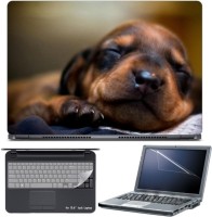 Skin Yard Wonderful Dreaming Dog Laptop Skin with Screen Protector & Keyboard Skin -15.6 Inch Combo Set   Laptop Accessories  (Skin Yard)