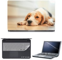 Skin Yard Beagle Dog On Floor Sparkle Laptop Skin with Screen Protector & Keyguard -15.6 Inch Combo Set   Laptop Accessories  (Skin Yard)