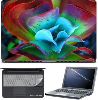Skin Yard Colorful Cactus Laptop Skin with Screen Protector & Keyboard Skin -15.6 Inch Combo Set   Laptop Accessories  (Skin Yard)