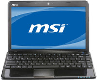 MSI U270 Netbook (APU Dual Core/ 2GB/ 320GB/ Win7 HB)(11.49 inch, 1.3 kg)