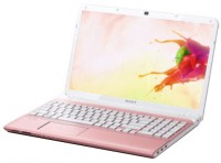 Sony VAIO E14123CN Laptop (3rd Gen Ci3/ 2GB/ 500GB/ Win8)(13.86 inch, Pink, 2.4 kg)
