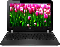 HP DM1-4109AU Netbook(11.49 inch, Charcoal Grey, 1.6 kg)