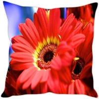 Sleep Nature's Abstract Cushions Cover(30.63 cm*30.63 cm, Multicolor)