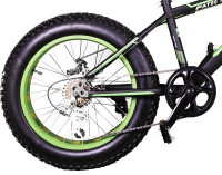cosmic fatso 24 price
