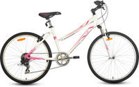 6 gear cycle price