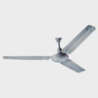 Crompton Brazier 3 Blade Ceiling Fan(White)   Home Appliances  (Crompton)