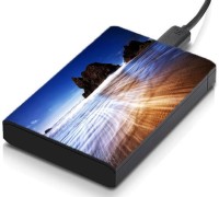 meSleep HD37353 Hard Disk Skin(Multicolor)   Laptop Accessories  (meSleep)