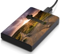 meSleep HD29240 Hard Disk Skin(Multicolor)   Laptop Accessories  (meSleep)