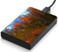 meSleep HD30382 Hard Disk Skin(Multicolor)   Laptop Accessories  (meSleep)