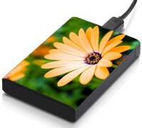 meSleep HD33029 Hard Disk Skin(Multicolor)   Laptop Accessories  (meSleep)