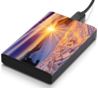 meSleep HD41398 Hard Disk Skin(Multicolor)   Laptop Accessories  (meSleep)