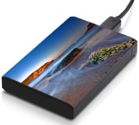 meSleep HD47023 Hard Disk Skin(Multicolor)   Laptop Accessories  (meSleep)