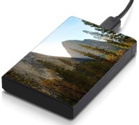 meSleep HD38270 Hard Disk Skin(Multicolor)   Laptop Accessories  (meSleep)