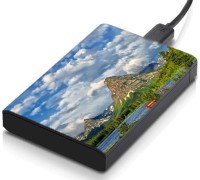 meSleep HD45179 Hard Disk Skin(Multicolor)   Laptop Accessories  (meSleep)