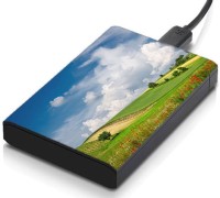meSleep HD35212 Hard Disk Skin(Multicolor)   Laptop Accessories  (meSleep)