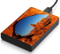 meSleep HD31087 Hard Disk Skin(Multicolor)   Laptop Accessories  (meSleep)