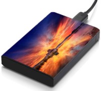 meSleep HD30339 Hard Disk Skin(Multicolor)   Laptop Accessories  (meSleep)