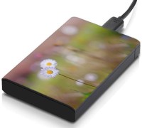 meSleep HD32369 Hard Disk Skin(Multicolor)   Laptop Accessories  (meSleep)