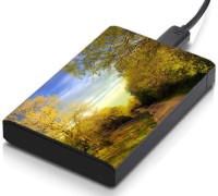 meSleep HD31223 Hard Disk Skin(Multicolor)   Laptop Accessories  (meSleep)