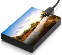 meSleep HD30230 Hard Disk Skin(Multicolor)   Laptop Accessories  (meSleep)