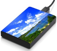 meSleep HD43276 Hard Disk Skin(Multicolor)   Laptop Accessories  (meSleep)