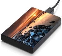 meSleep HD39339 Hard Disk Skin(Multicolor)   Laptop Accessories  (meSleep)