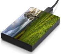 meSleep HD32140 Hard Disk Skin(Multicolor)   Laptop Accessories  (meSleep)