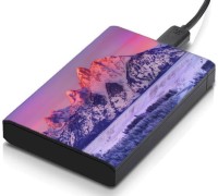 meSleep HD35254 Hard Disk Skin(Multicolor)   Laptop Accessories  (meSleep)