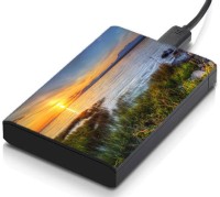 meSleep HD46400 Hard Disk Skin(Multicolor)   Laptop Accessories  (meSleep)