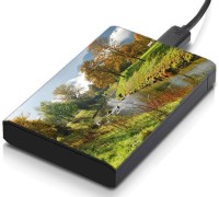 meSleep HD32172 Hard Disk Skin(Multicolor)   Laptop Accessories  (meSleep)