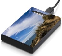 meSleep HD33259 Hard Disk Skin(Multicolor)   Laptop Accessories  (meSleep)
