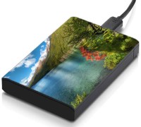 meSleep HD45041 Hard Disk Skin(Multicolor)   Laptop Accessories  (meSleep)