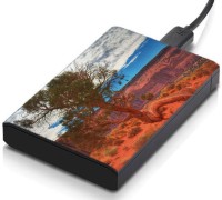 meSleep HD34245 Hard Disk Skin(Multicolor)   Laptop Accessories  (meSleep)