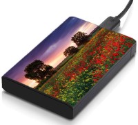 meSleep HD32355 Hard Disk Skin(Multicolor)   Laptop Accessories  (meSleep)