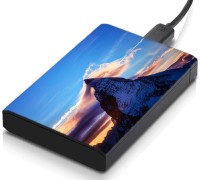 meSleep HD43172 Hard Disk Skin(Multicolor)   Laptop Accessories  (meSleep)