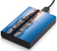 meSleep HD32075 Hard Disk Skin(Multicolor)   Laptop Accessories  (meSleep)
