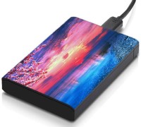 meSleep HD32279 Hard Disk Skin(Multicolor)   Laptop Accessories  (meSleep)