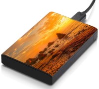 meSleep HD32050 Hard Disk Skin(Multicolor)   Laptop Accessories  (meSleep)