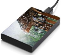meSleep HD24104 Hard Disk Skin(Multicolor)   Laptop Accessories  (meSleep)
