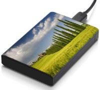 meSleep HD24032 Hard Disk Skin(Multicolor)   Laptop Accessories  (meSleep)