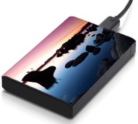meSleep HD46180 Hard Disk Skin(Multicolor)   Laptop Accessories  (meSleep)