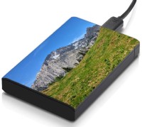 meSleep HD38106 Hard Disk Skin(Multicolor)   Laptop Accessories  (meSleep)