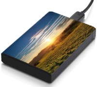 meSleep HD37168 Hard Disk Skin(Multicolor)   Laptop Accessories  (meSleep)