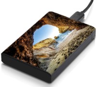 meSleep HD31256 Hard Disk Skin(Multicolor)   Laptop Accessories  (meSleep)