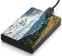 meSleep HD29054 Hard Disk Skin(Multicolor)   Laptop Accessories  (meSleep)