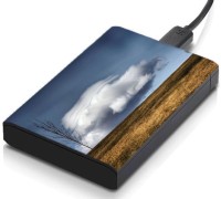 meSleep HD41040 Hard Disk Skin(Multicolor)   Laptop Accessories  (meSleep)