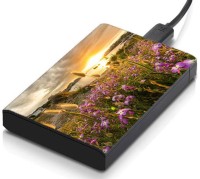meSleep HD34288 Hard Disk Skin(Multicolor)   Laptop Accessories  (meSleep)